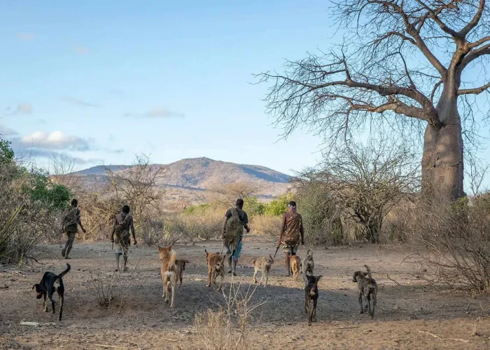 Tanzania Classic Safari4