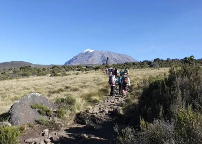 marangu route master 2